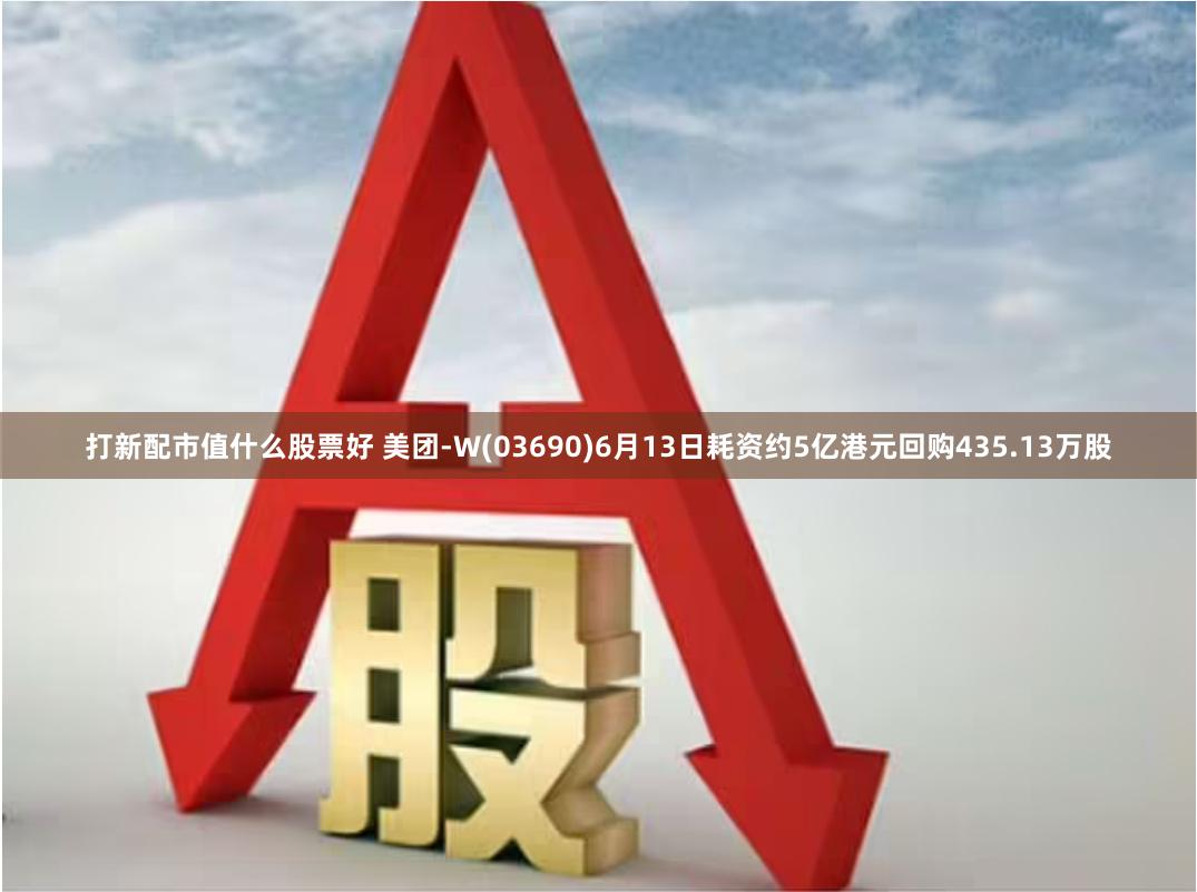 打新配市值什么股票好 美团-W(03690)6月13日耗资约5亿港元回购435.13万股