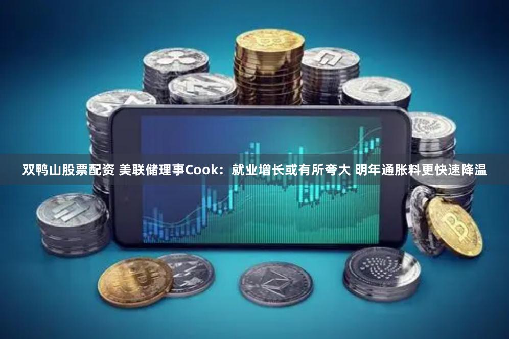 双鸭山股票配资 美联储理事Cook：就业增长或有所夸大 明年通胀料更快速降温