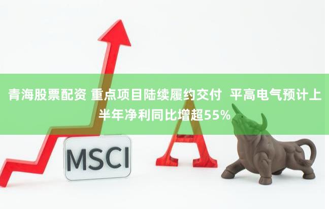 青海股票配资 重点项目陆续履约交付  平高电气预计上半年净利同比增超55%