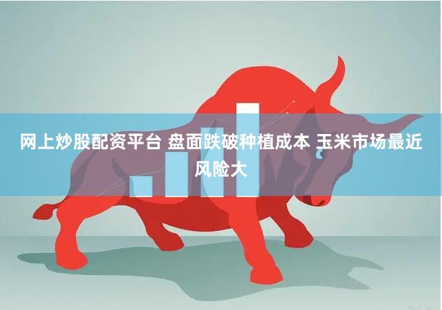 网上炒股配资平台 盘面跌破种植成本 玉米市场最近风险大