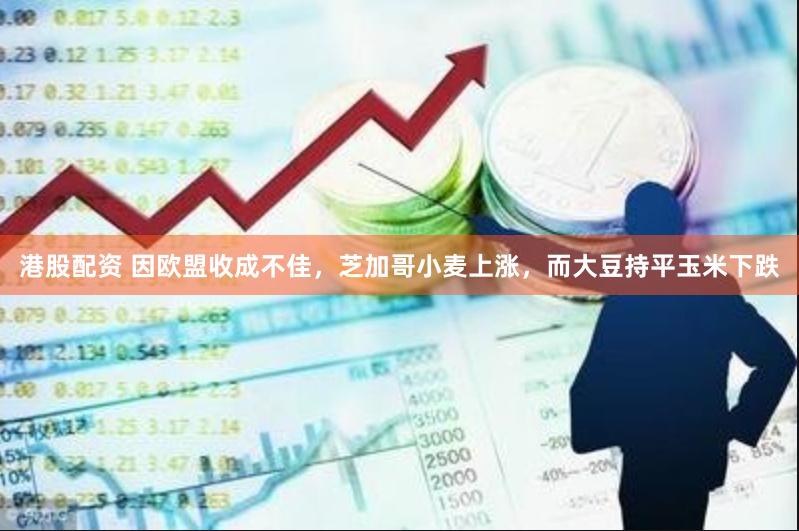 港股配资 因欧盟收成不佳，芝加哥小麦上涨，而大豆持平玉米下跌