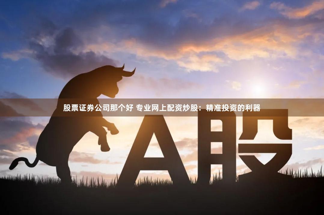 股票证券公司那个好 专业网上配资炒股：精准投资的利器
